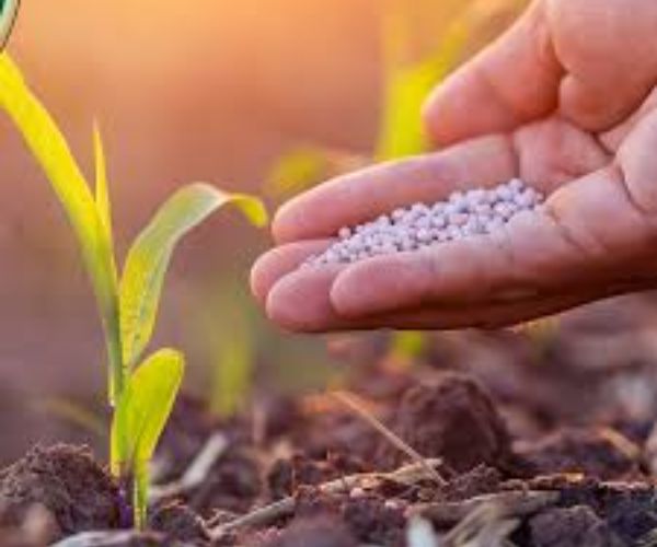 Fertilizers