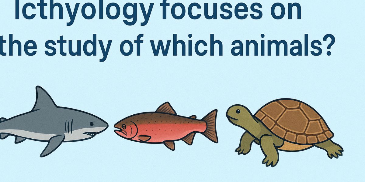 Ichthyology focuses on the study of which animals