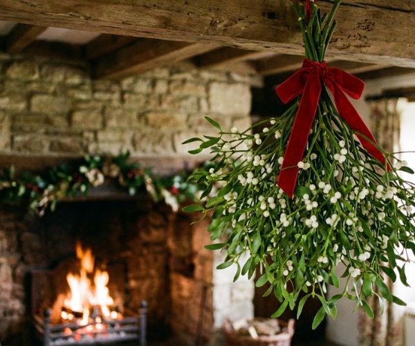 Mistletoe