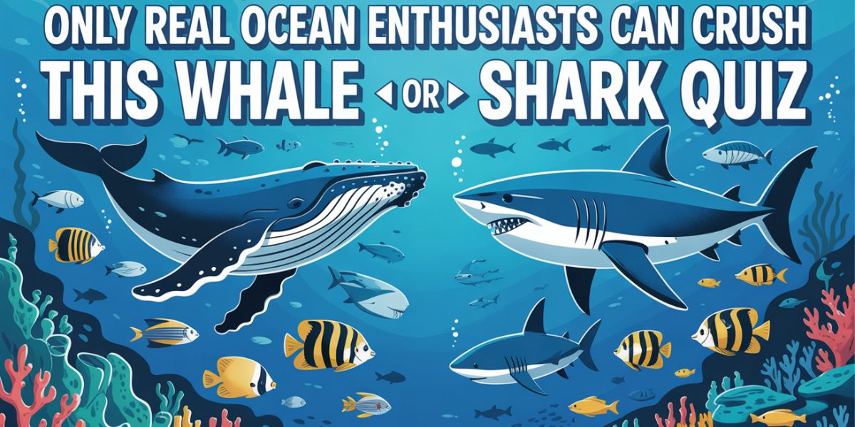 Only Real Ocean Enthusiasts Can Crush This 🐋 Whale or 🦈 Shark Quiz