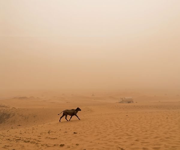 Sandstorms