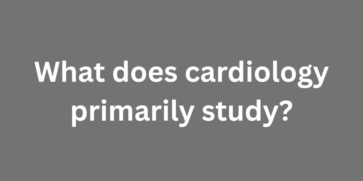 What does cardiology primarily study