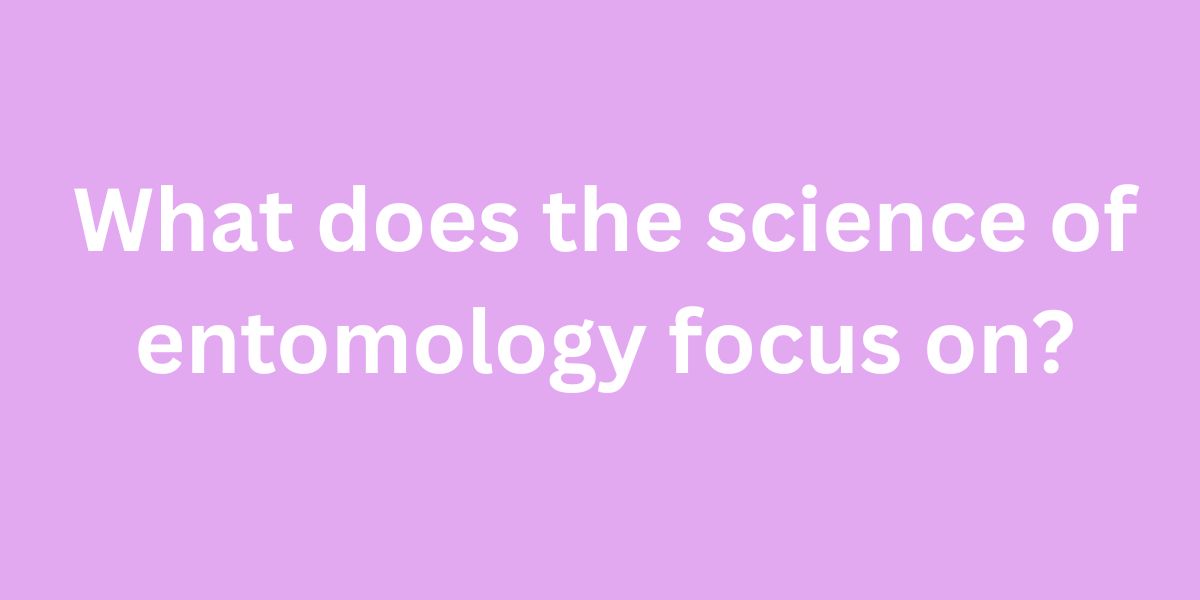 What does the science of entomology focus on
