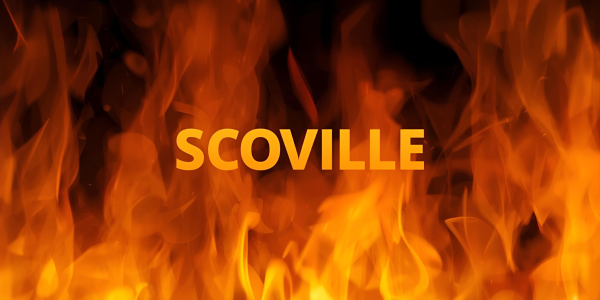 What scale is used to measure the spiciness of chili peppers