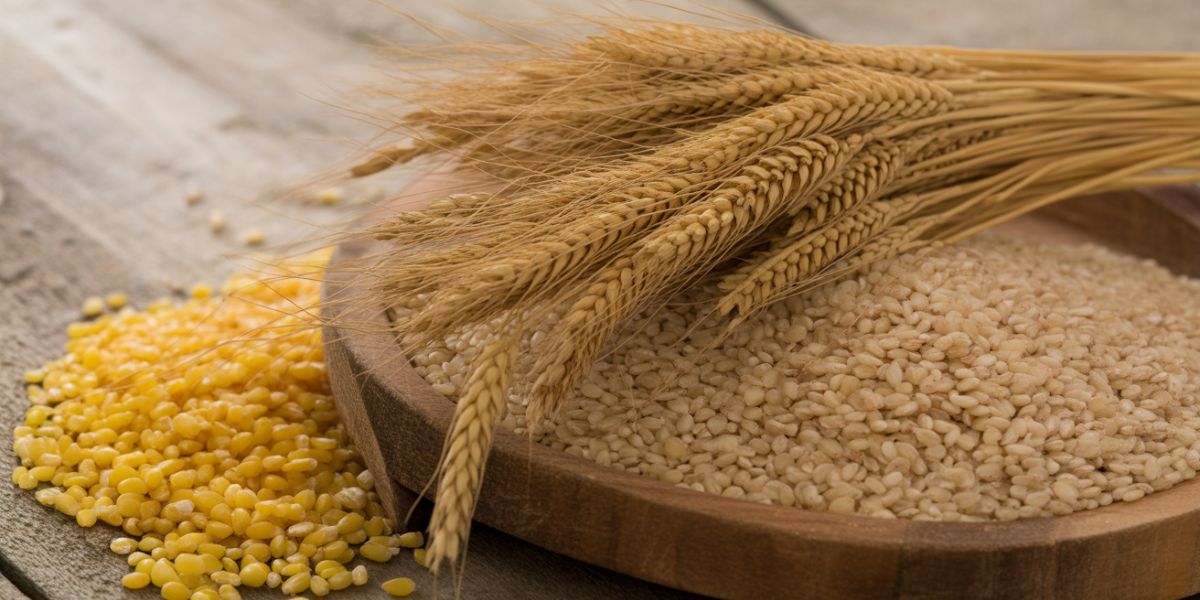 Which grain is a staple food for more than half of the world's population