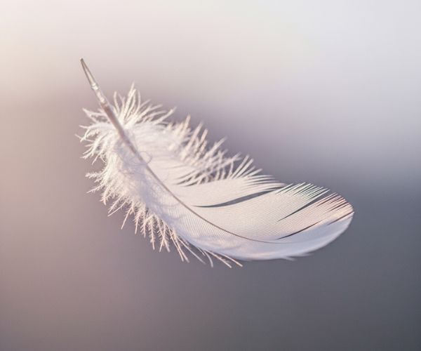Feather Falling