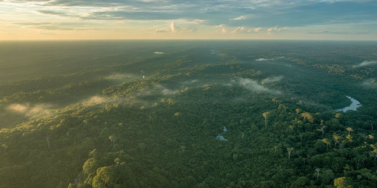 Got any idea what the largest rainforest on Earth is called