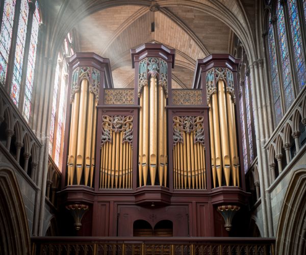 Organ