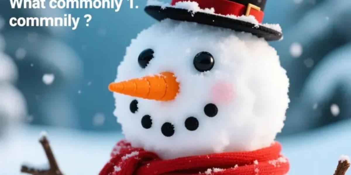 Question 1 What item is commonly used as a snowman’s nose