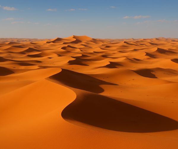 Sahara Desert