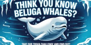 Think You Know Beluga Whales Take Our Trivia Challenge and Find Out!