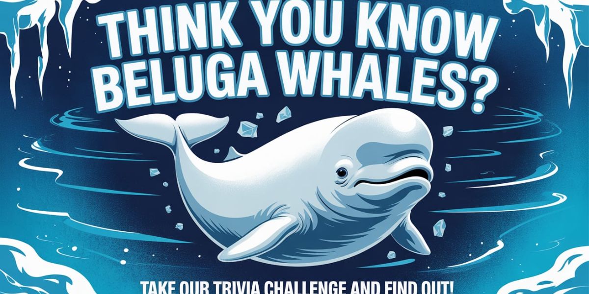 Think You Know Beluga Whales Take Our Trivia Challenge and Find Out!