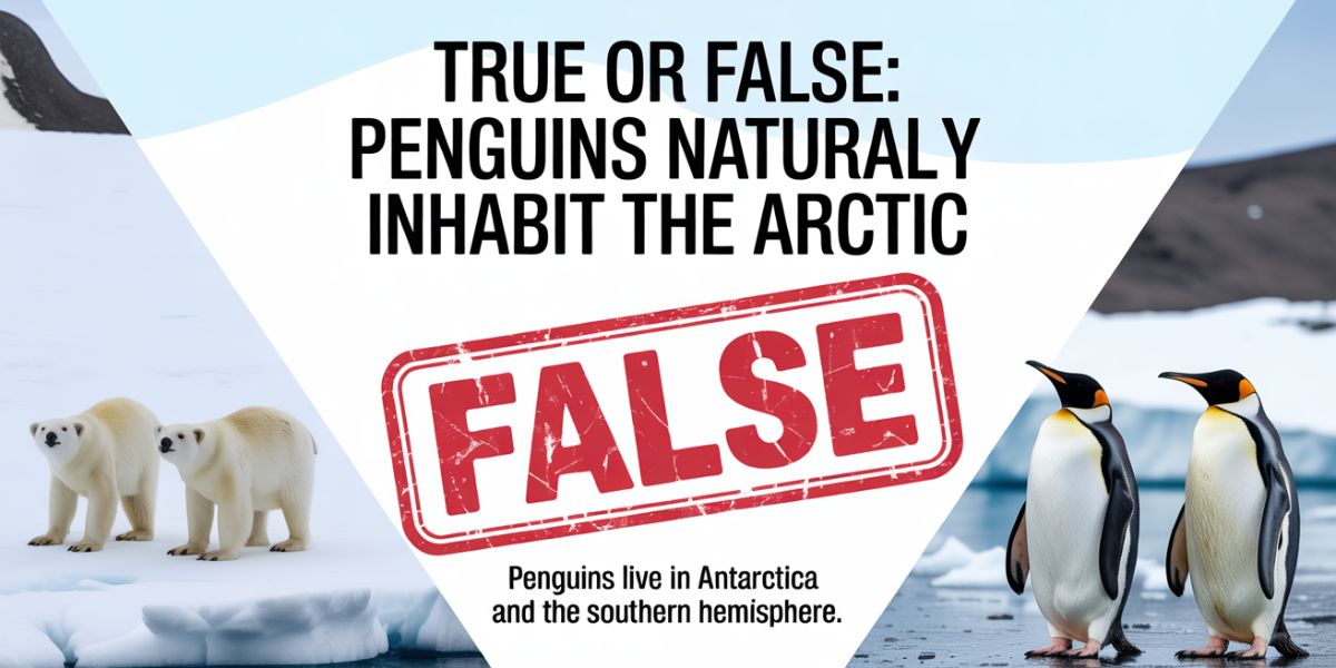 True or false Penguins naturally inhabit the Arctic.
