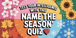 Test Your Intelligence With This ‘Name the Season’ Quiz 🍁