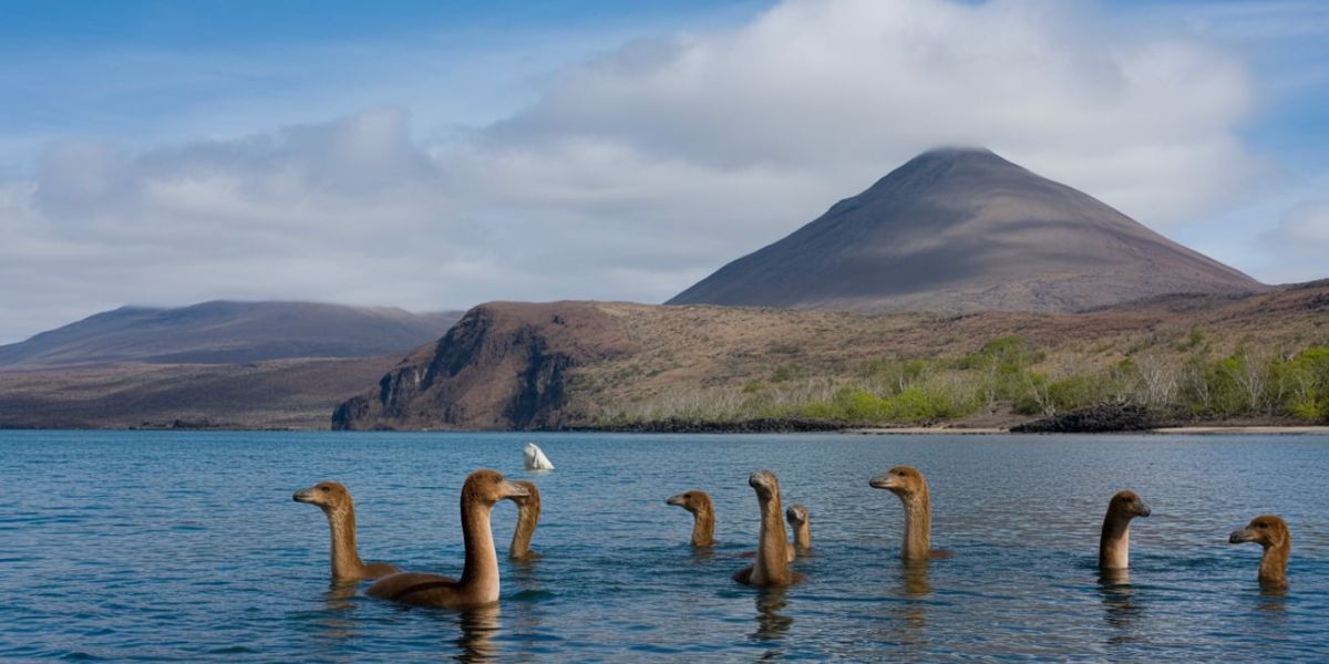 Which country do the Galápagos Islands belong to