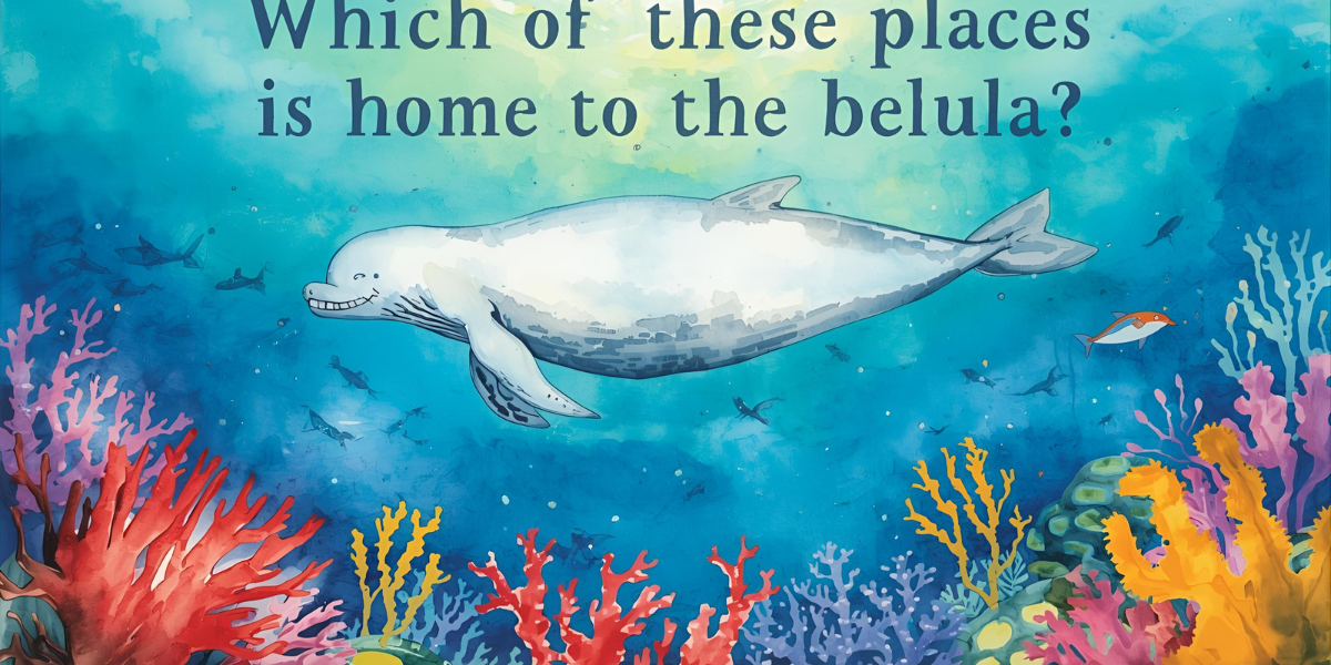 Which of these places is home to the beluga