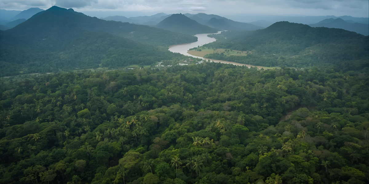Which rainforest is famously referred to as 'the lungs of the Earth'