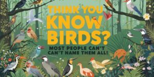 Think You Know Birds Most People Can’t Name Them All!